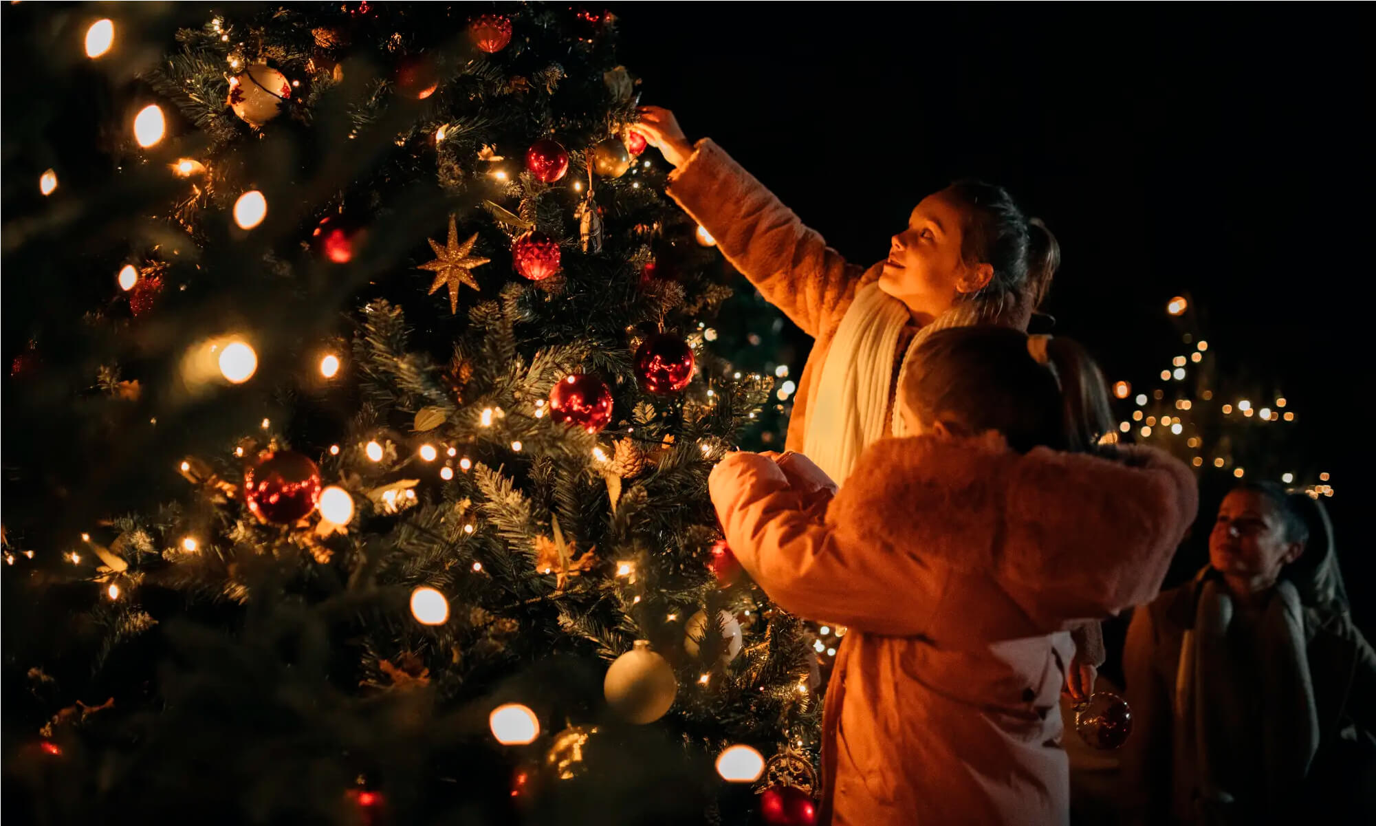 pmdc-feerie-site-img